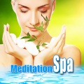 Meditation Spa Society - Lifting the Shadow for Health and Inner Peace