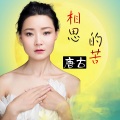 唐古 - 相思的苦
