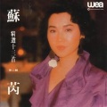苏芮 - 跟着感觉走