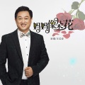 王洪波 - 妈妈像朵花