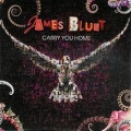 James Blunt - Carry You Home