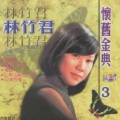 林竹君 - 地老天荒不了情