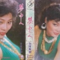 肖雅 - 心茫茫
