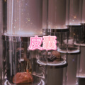 小淼 - 黑夜将尽 (失恋版)
