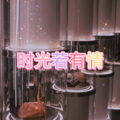 小淼 - 小情歌 (失恋版)