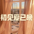 阿月 - 如果来生还能遇见你