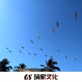明洋 - Blow Your Mind
