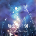 MC刘梦阳、韦康 - 所念皆星河 (DJ版)