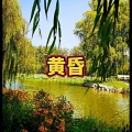 爱惜 - 千年之恋