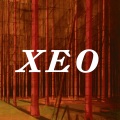 Martin Kohlstedt - XEO