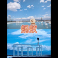 阿欣 - 南燕 (古怪版)