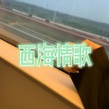 卓儿 - 心雨