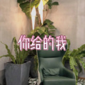 月一 - 朋友 (悬溺版)