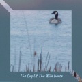 Frankie Laine - The Cry of the Wild Goose