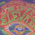 13th Floor Elevators - Monkey Island