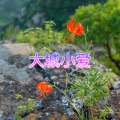 易伊 - 毕业季
