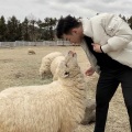 妤谭谭、DJ张总 - 心里有了良人 身边都是路人 (DJ版)