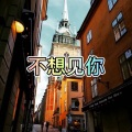 大乔 - 左肩 (太阳版)