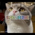 大乔 - 忘了牵手 (游戏版)