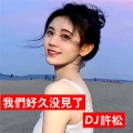 DJ许松 - 你好 可爱 喜欢 爱你 感动 好烦 有病 再见