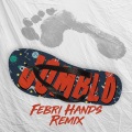 Ecko Show、Febri Hands、DJ Desa - Jomblo (FebriHandsRemix)