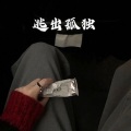 林波 - 我是如此相信