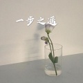 林波 - 一生与你擦肩而过