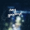 The May - Say good bye