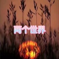 天兰 - 偏爱