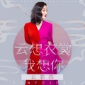 云菲菲 - 云想衣裳我想你