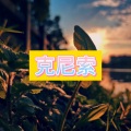 南妹 - 绿洲
