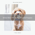 Sleep Dog - Stress Relief Tunes For Lovely Puppies