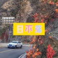 大乔 - 日不落