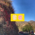 大乔 - 一千零一夜