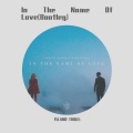 ISLAND THUGS - Martin Garrix-IN THE NAME OF LOVE (Island Thugs Bootleg)(ISLAND THUGS remix)
