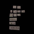 刺耳 - 来自世界的恶意