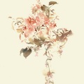 Smile_小千 - 花间旧事