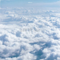 盛宇D-SHINE、$CC731 - Let it go