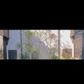 肖申克 - 安眠药