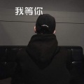 林波 - 小芳 (电音版)