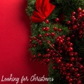 All I Want for Christmas Is You、Christmas Hits Collective、Christmas Songs、Christmas Hits - The First Noel