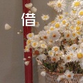 糖妹 - 绿旋风