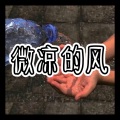 大乔 - 微凉的风