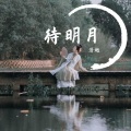 清越 - 西窗烟雨