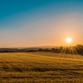 Sonidos de la Naturaleza para Dormir、Sonidos de la Naturaleza Relax、Dormir Sol - Aventuras Mentales