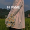 如文 - 出现又离开