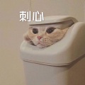 如文 - 单恋一枝花