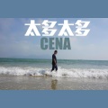 Cena - 太多太多