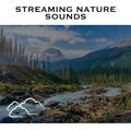 Relaxing Radiance - Gentle Stream - Loopable