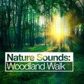 Outside Broadcast Recordings - Water Flows